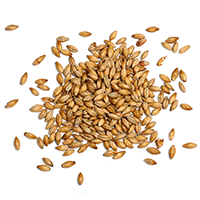 https://birrificiosorrento.com/wp-content/uploads/2017/05/ingredients_transparent_03.png