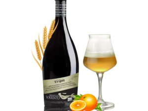 https://birrificiosorrento.com/wp-content/uploads/2025/11/Tripel-300x225.png